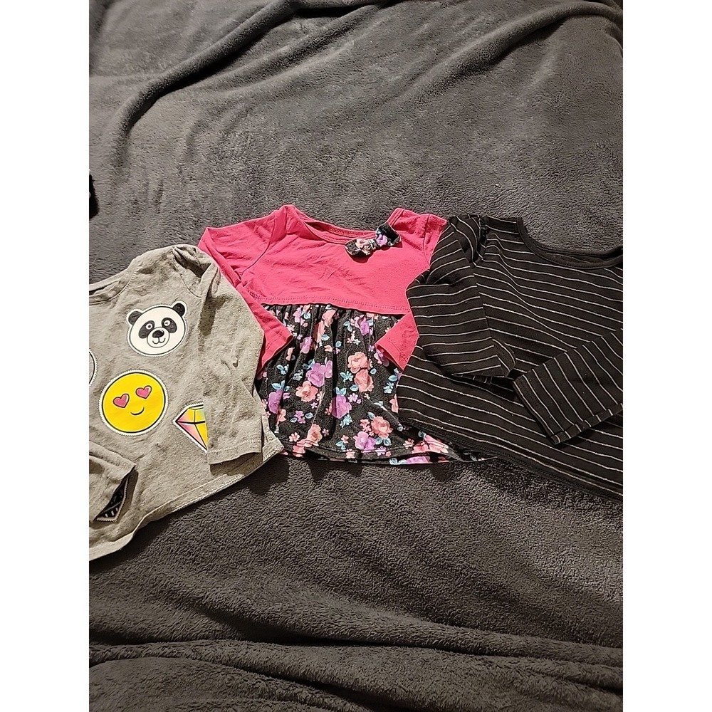 Lot Of Spring/Summer/Fall Girl Clothes Size 2T 24 Months 3 Long Sleeve Shirts